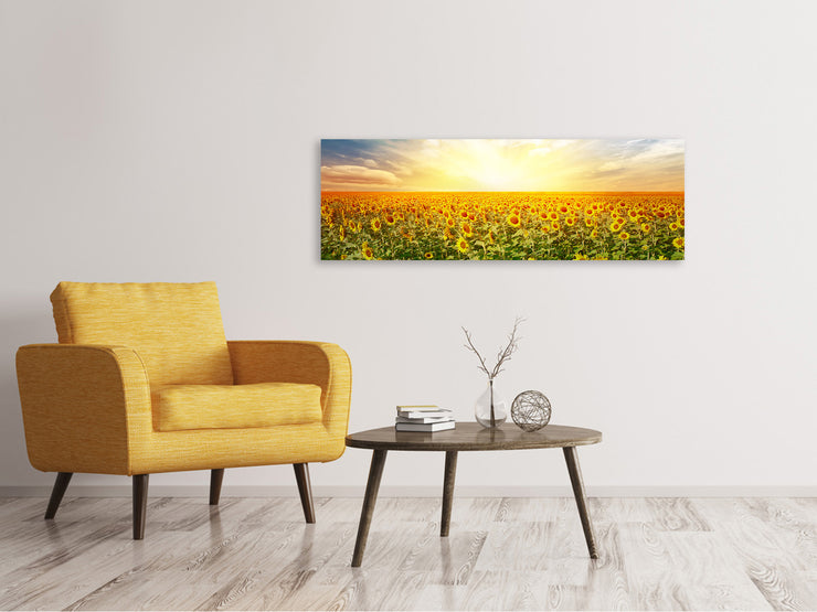 Panorámás Vászonképek A Field Full Of Sunflowers