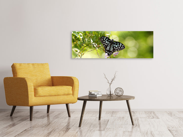 Panorámás Vászonképek Papilio Butterfly XXL