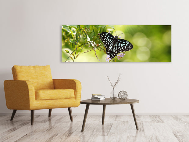 Panorámás Vászonképek Papilio Butterfly XXL