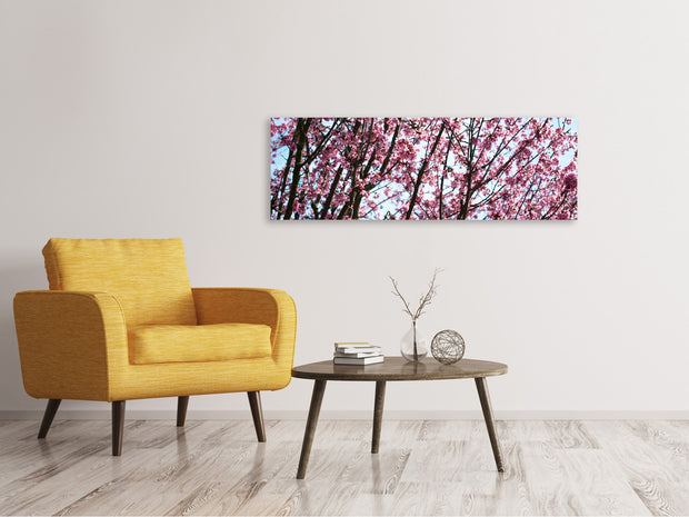 Panorámás Vászonképek Japanese Cherry Blossom