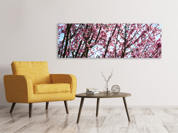 Panorámás Vászonképek Japanese Cherry Blossom