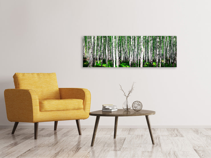 Panorámás Vászonképek Summerly Birch Forest