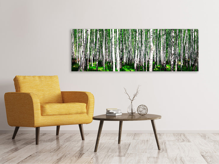 Panorámás Vászonképek Summerly Birch Forest