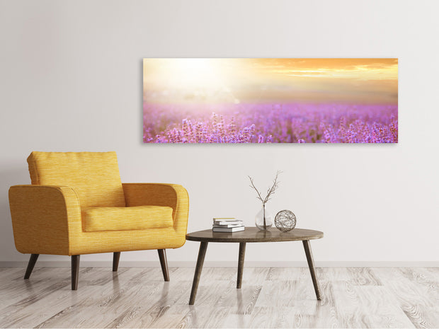 Panorámás Vászonképek Sunset In Lavender Field