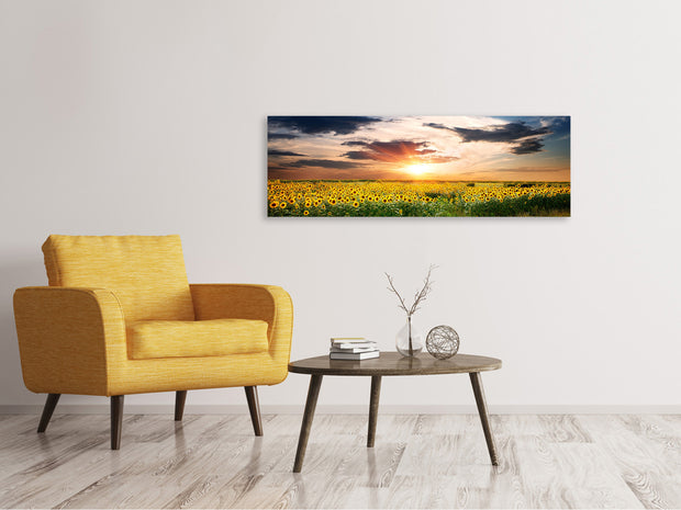 Panorámás Vászonképek A Field Of Sunflowers