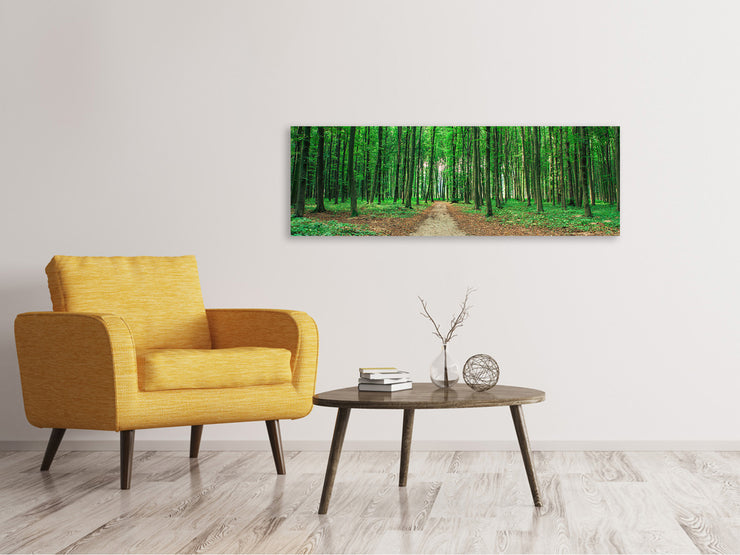 Panorámás Vászonképek Pine Forests