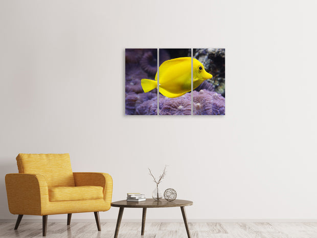3 darab Vászonképek The lemon-doctor fish