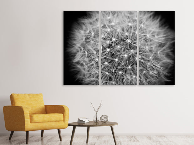 3 darab Vászonképek Dandelion in XXL