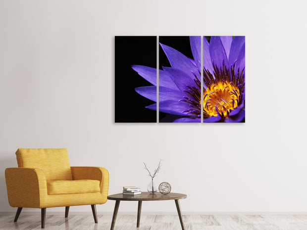 3 darab Vászonképek XL water lily in purple