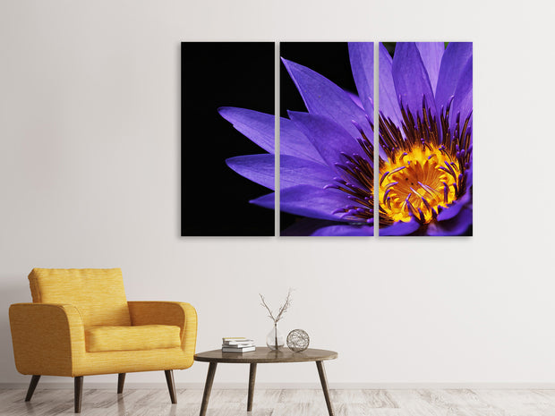 3 darab Vászonképek XL water lily in purple