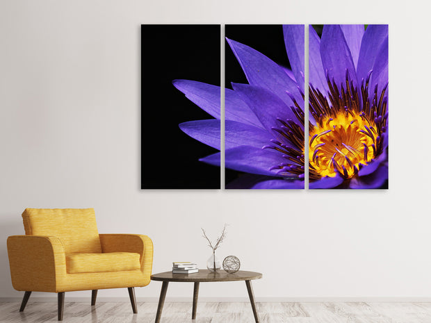 3 darab Vászonképek XL water lily in purple