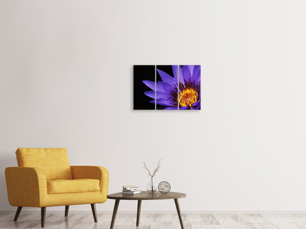 3 darab Vászonképek XL water lily in purple