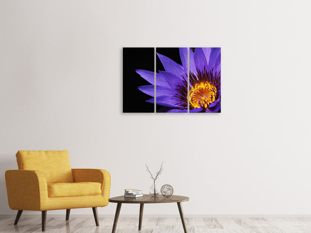 3 darab Vászonképek XL water lily in purple