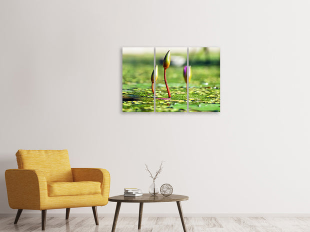 3 darab Vászonképek Water lilies in XL