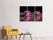 3 darab Vászonképek Water Lilies Duo in pink