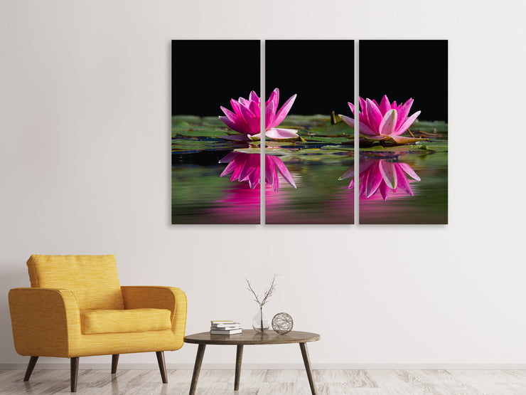 3 darab Vászonképek Water Lilies Duo in pink