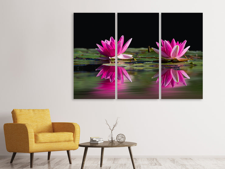 3 darab Vászonképek Water Lilies Duo in pink