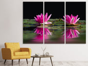 3 darab Vászonképek Water Lilies Duo in pink