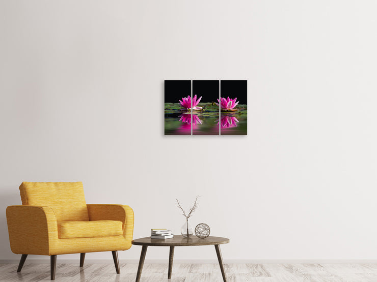 3 darab Vászonképek Water Lilies Duo in pink