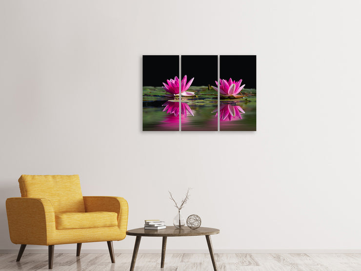 3 darab Vászonképek Water Lilies Duo in pink