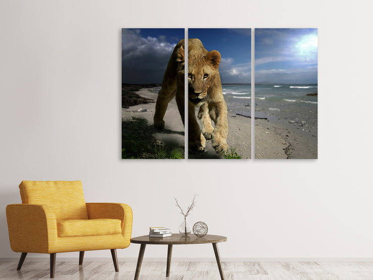3 darab Vászonképek A lioness on the beach