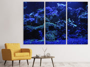 3 darab Vászonképek Coral reef in blue