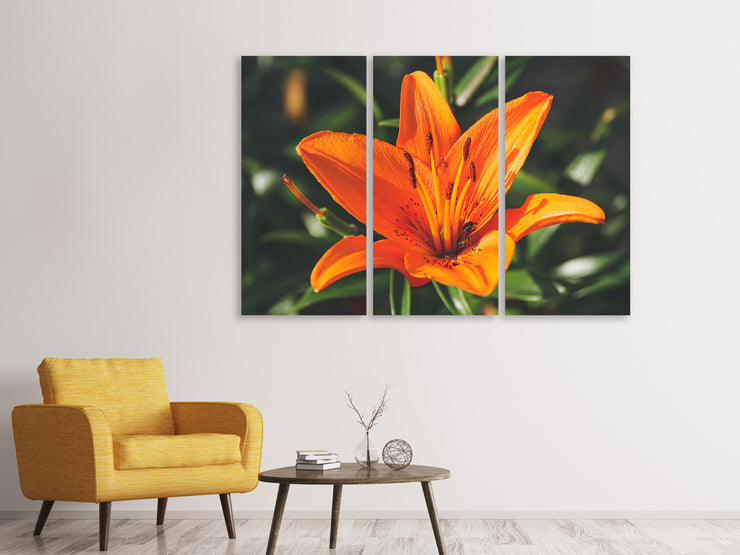 3 darab Vászonképek Lilies blossom in orange XL