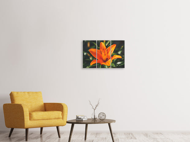3 darab Vászonképek Lilies blossom in orange XL