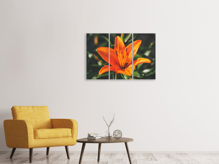 3 darab Vászonképek Lilies blossom in orange XL