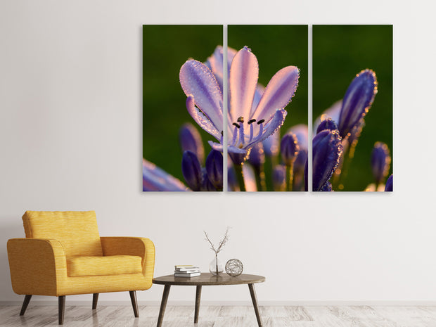 3 darab Vászonképek Ornamental lilies with morning dew