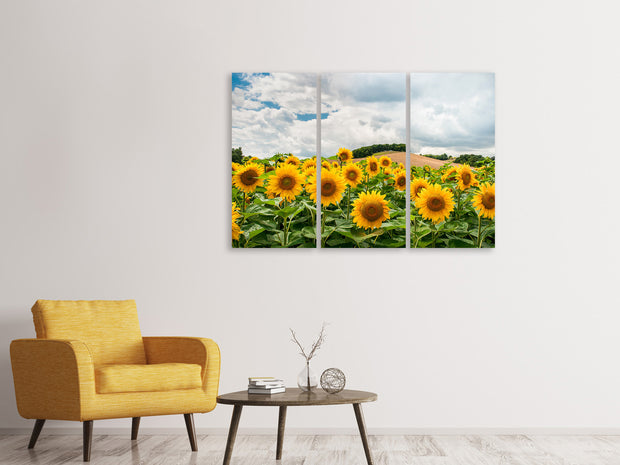 3 darab Vászonképek Landscape with sunflowers