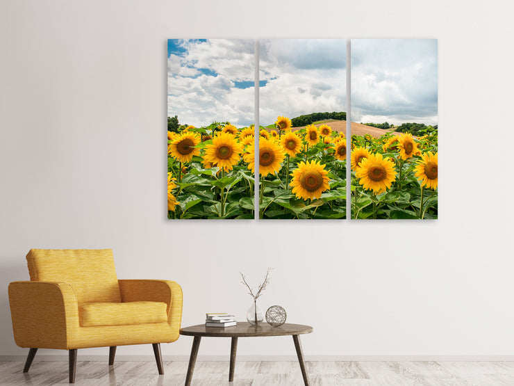 3 darab Vászonképek Landscape with sunflowers