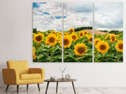 3 darab Vászonképek Landscape with sunflowers