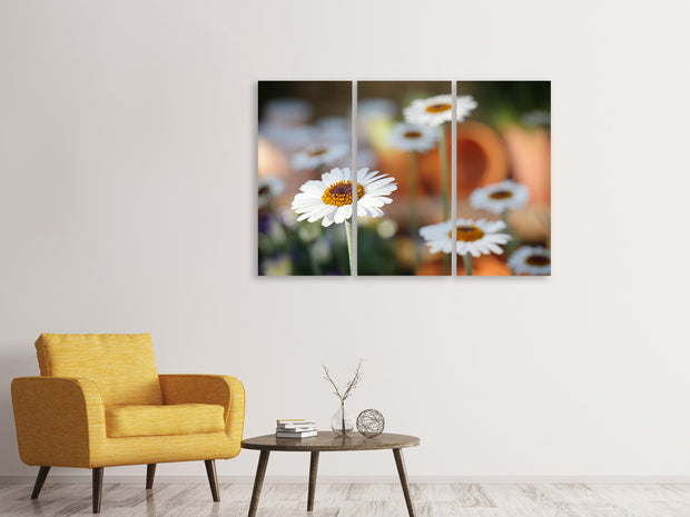 3 darab Vászonképek Daisies XL