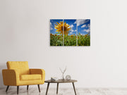 3 darab Vászonképek A sunflower among many