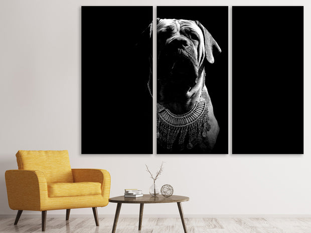 3 darab Vászonképek The Boerboel sw