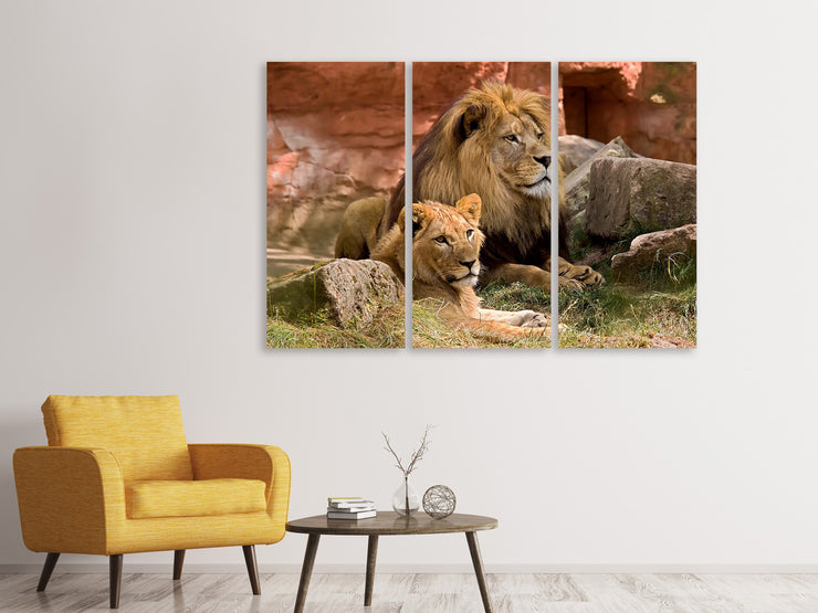3 darab Vászonképek A lion couple