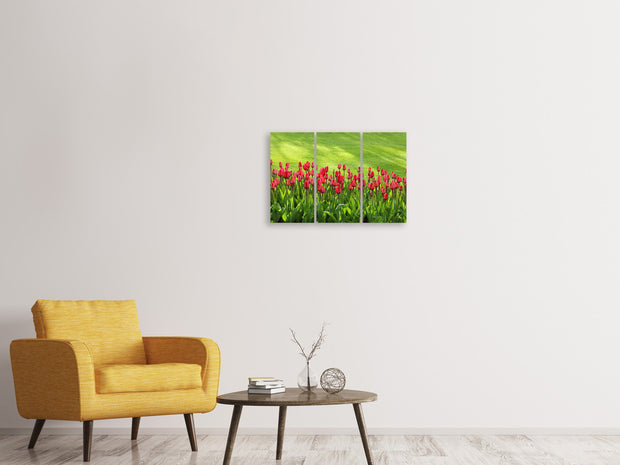 3 darab Vászonképek Red tulip field in the sunlight