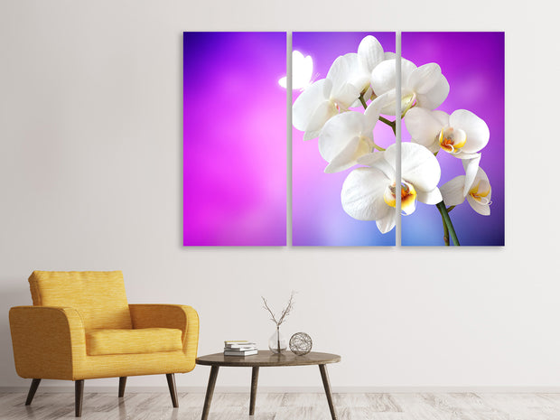 3 darab Vászonképek Flower Power Orchid
