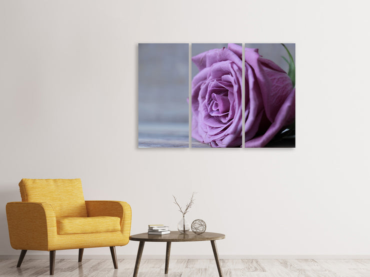 3 darab Vászonképek Rose in purple XXL