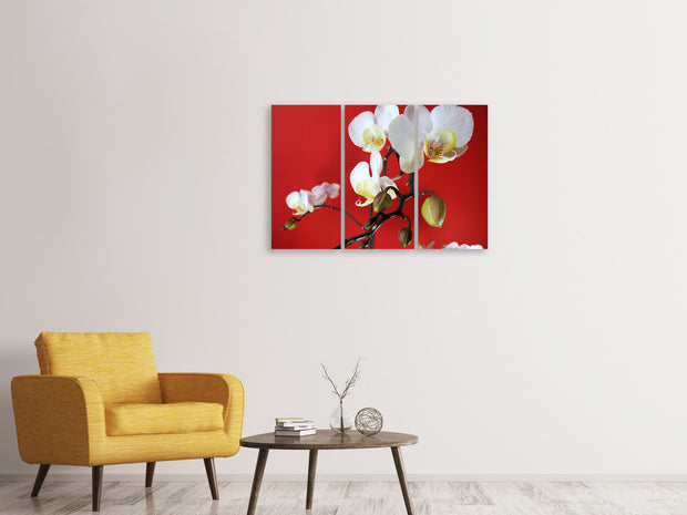 3 darab Vászonképek White orchids on red wall