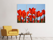 3 darab Vászonképek Red tulips XL