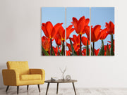 3 darab Vászonképek Red tulips XL