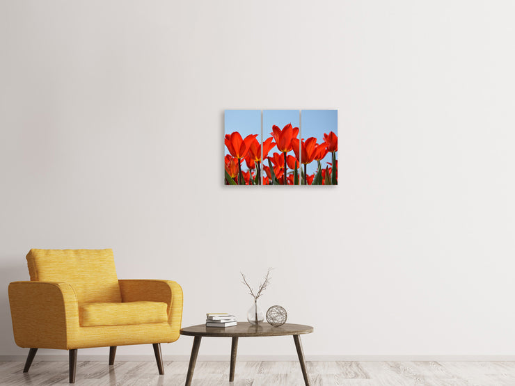 3 darab Vászonképek Red tulips XL