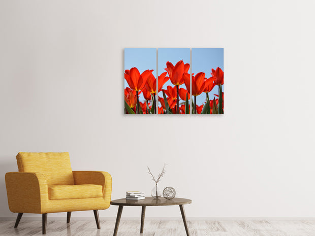 3 darab Vászonképek Red tulips XL