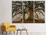 3 darab Vászonképek Ghostly trees