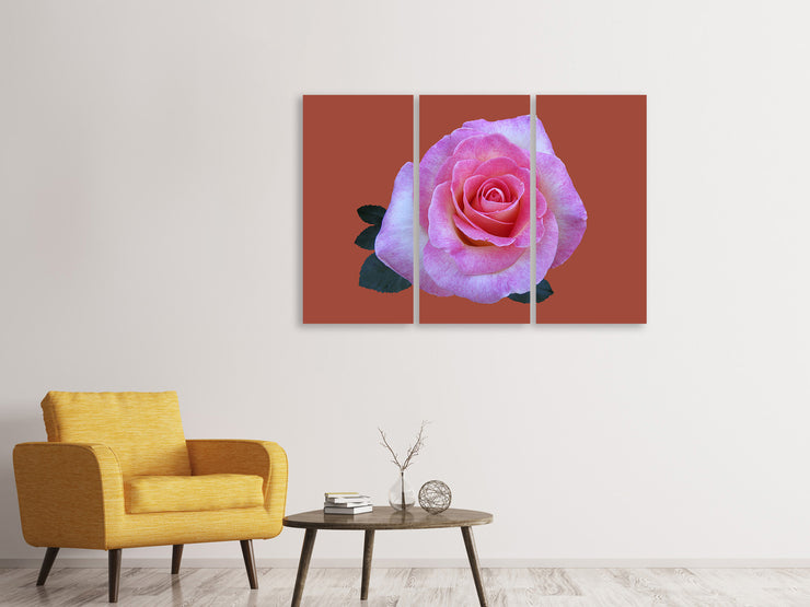 3 darab Vászonképek Rose in pink XXL