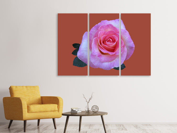 3 darab Vászonképek Rose in pink XXL