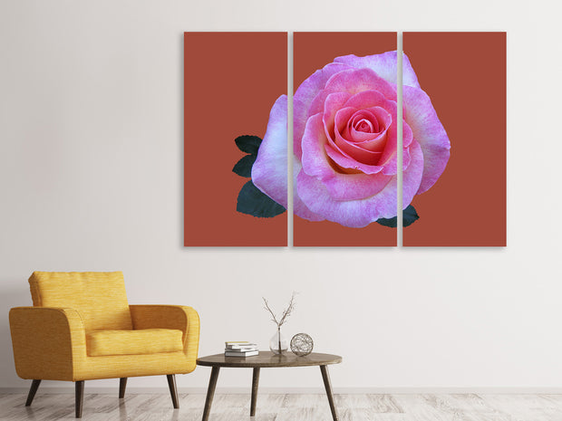 3 darab Vászonképek Rose in pink XXL