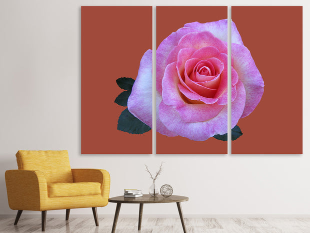 3 darab Vászonképek Rose in pink XXL